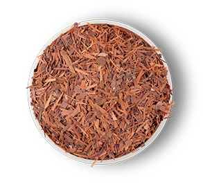 LOVARE Crème brulee Tea Pyramids